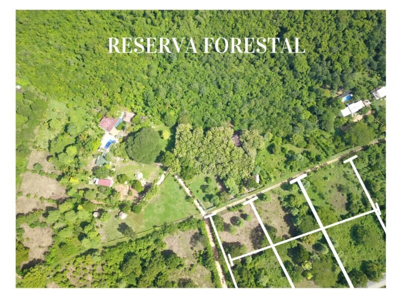 Venta de lotes rurales