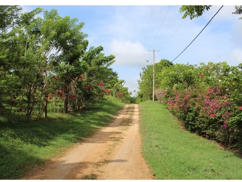 Venta de lotes rurales